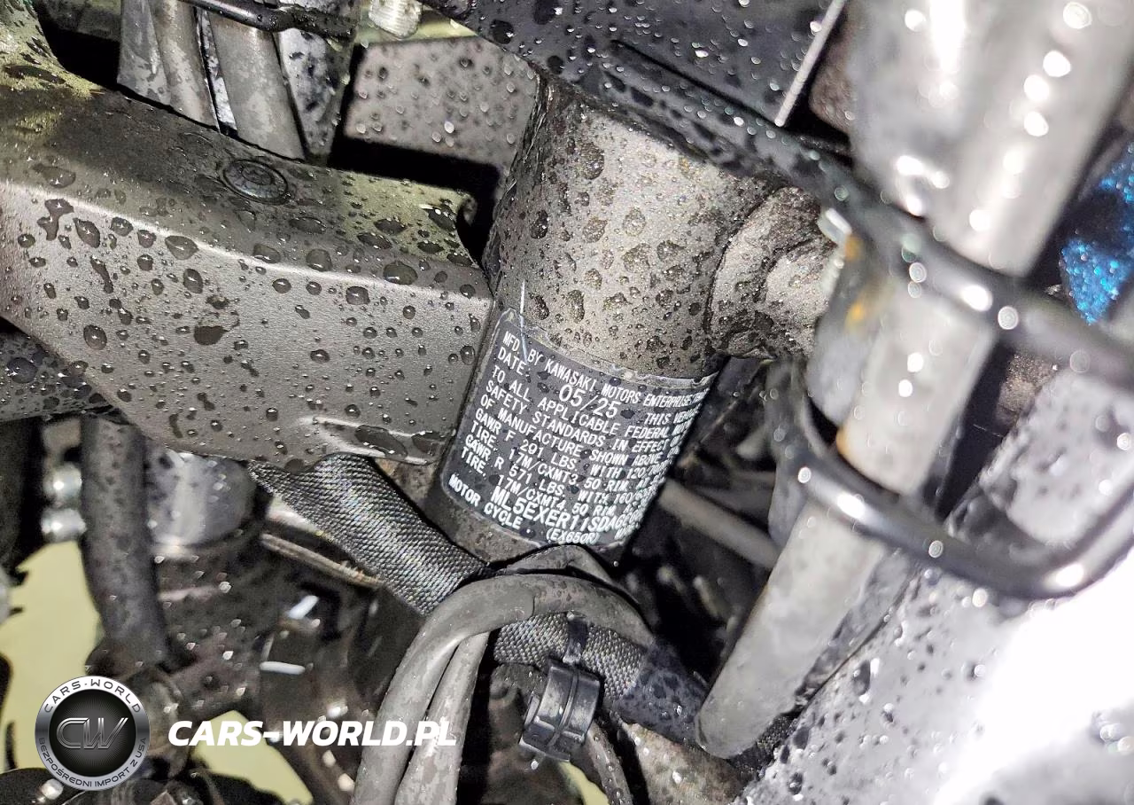 2025 Kawasaki Ex650 R VIN:ML5EXER11SDAG6605 - 9