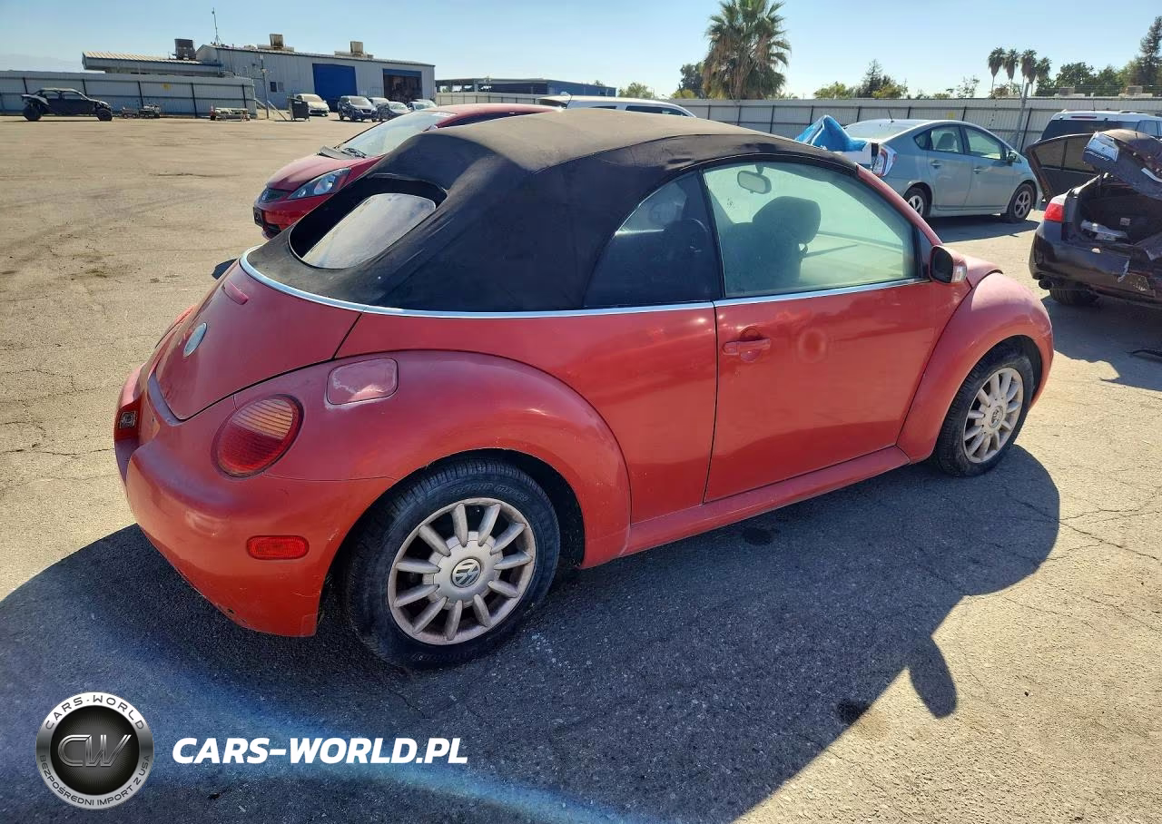 2004 Volkswagen New Beetle Gls VIN:3VWCM31Y24M316555 - 3