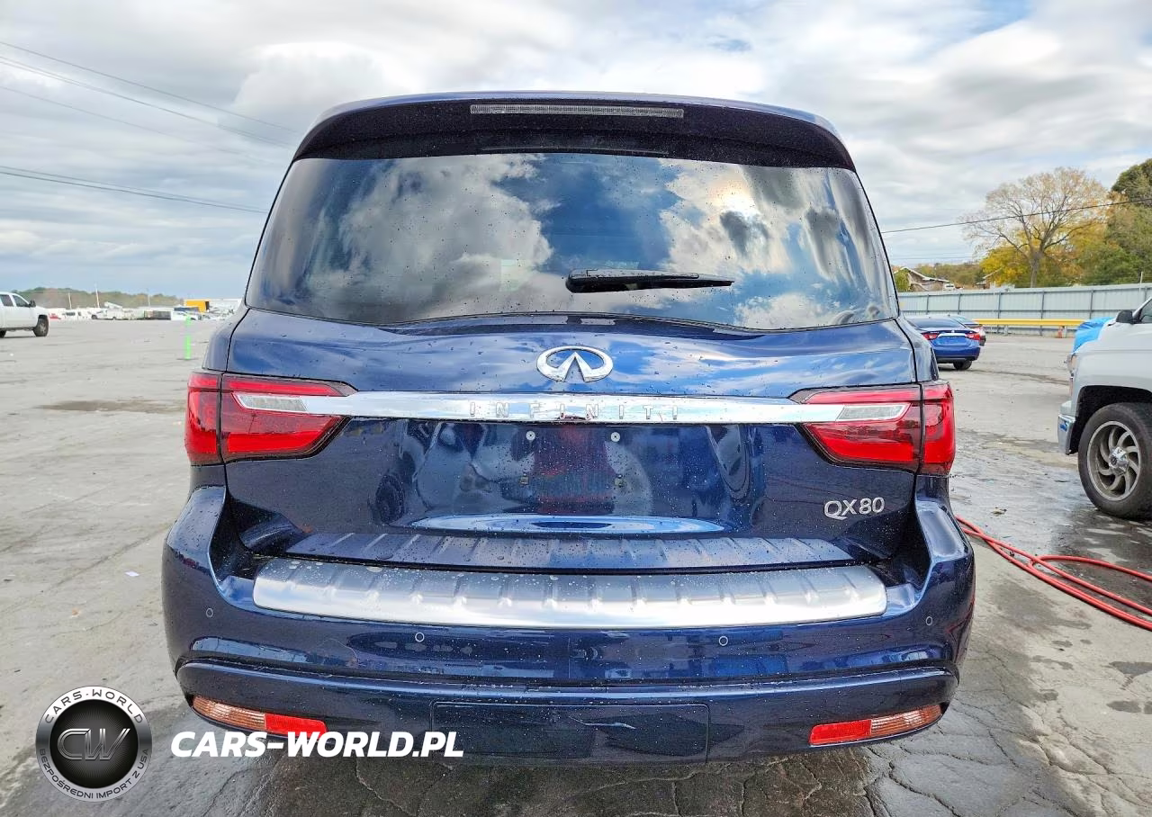 2019 Infiniti Qx80 Luxe VIN:JN8AZ2NE8K9233329 - 6
