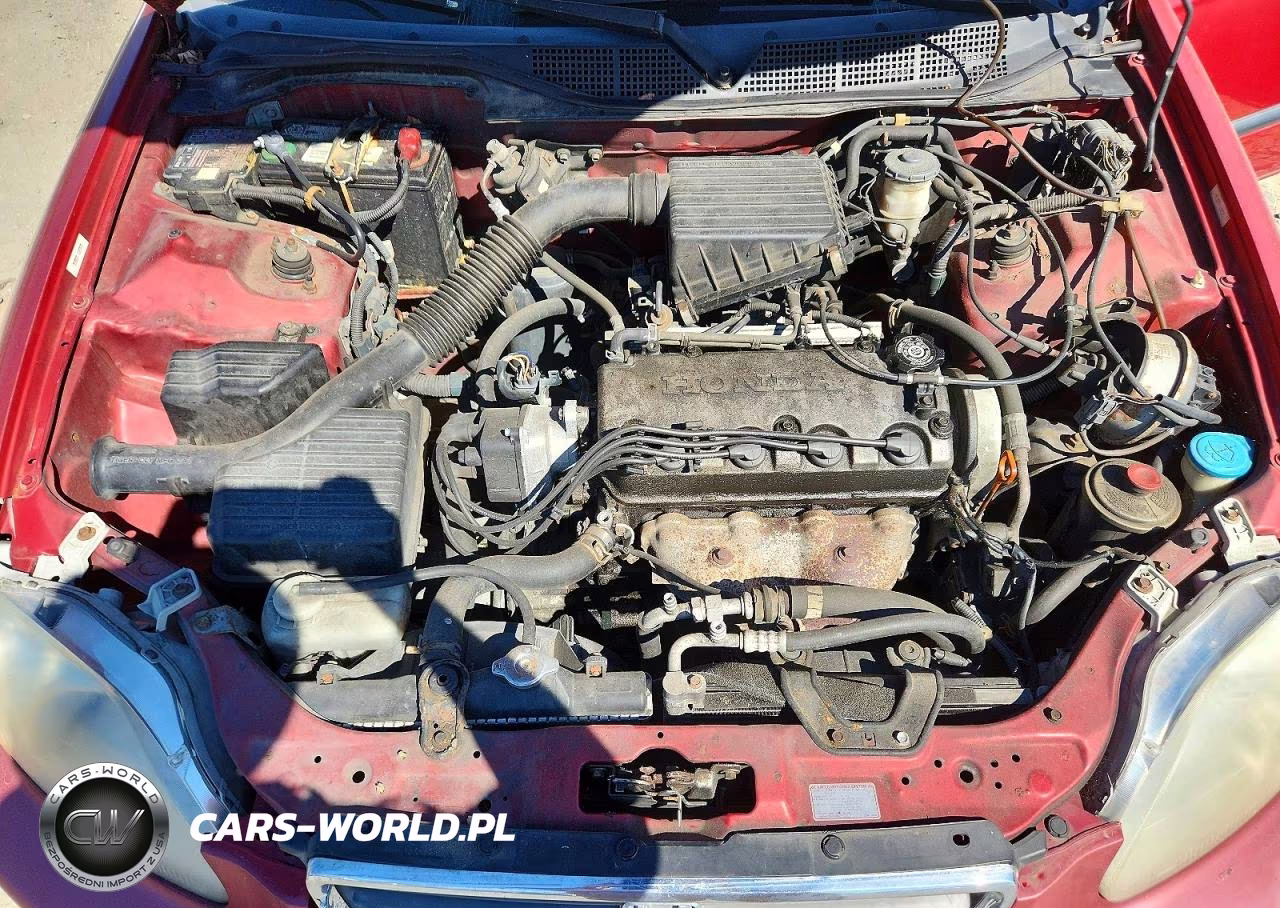 1998 Honda Civic Lx VIN:1HGEJ6672WL011231 - 11