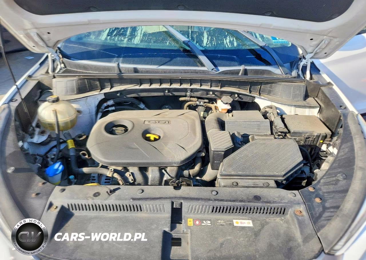 2018 Hyundai Tucson Sel VIN:KM8J3CA41JU684237 - 12