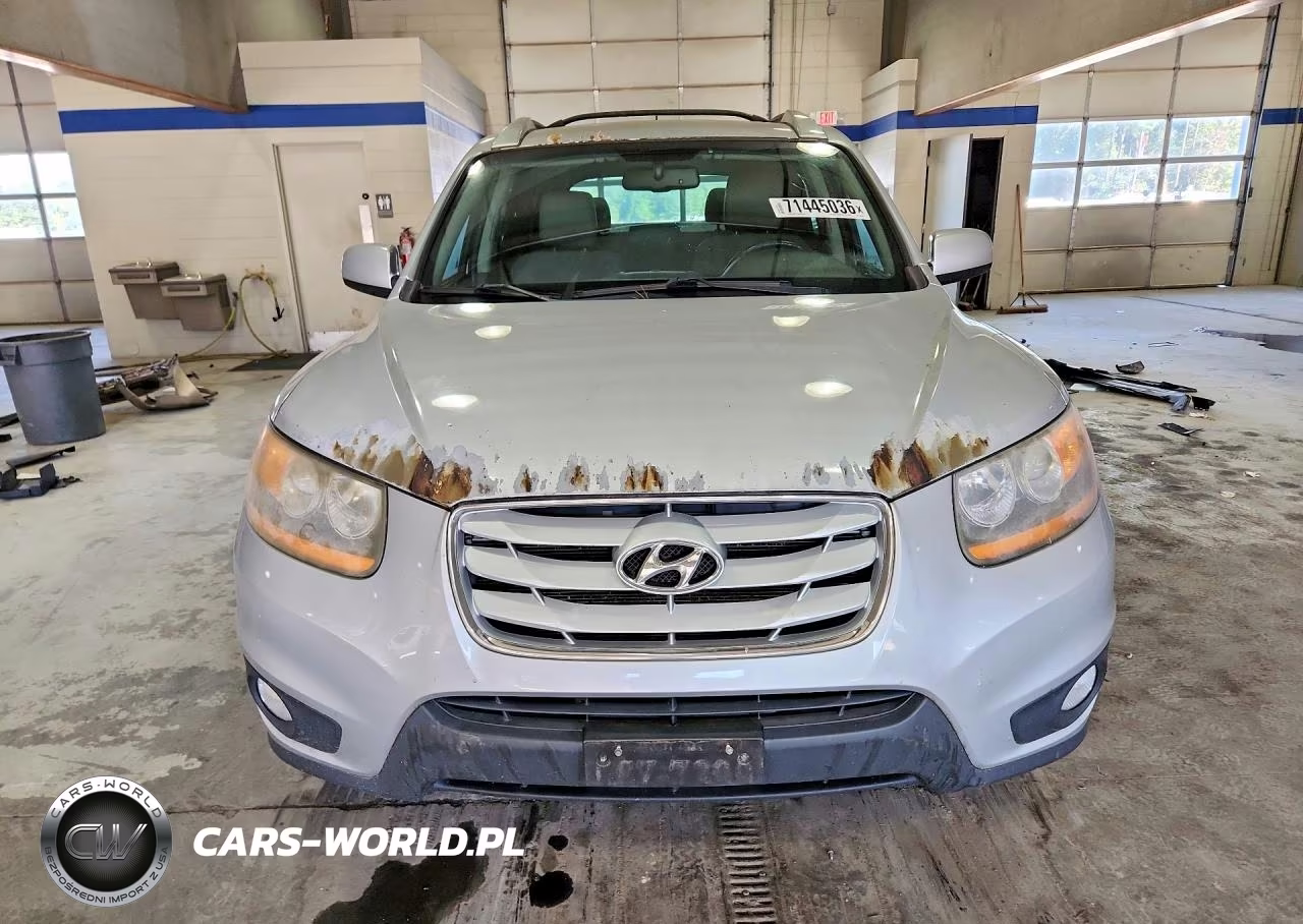 2010 Hyundai Santa Fe Se VIN:5NMSH4AG1AH363879 - 5
