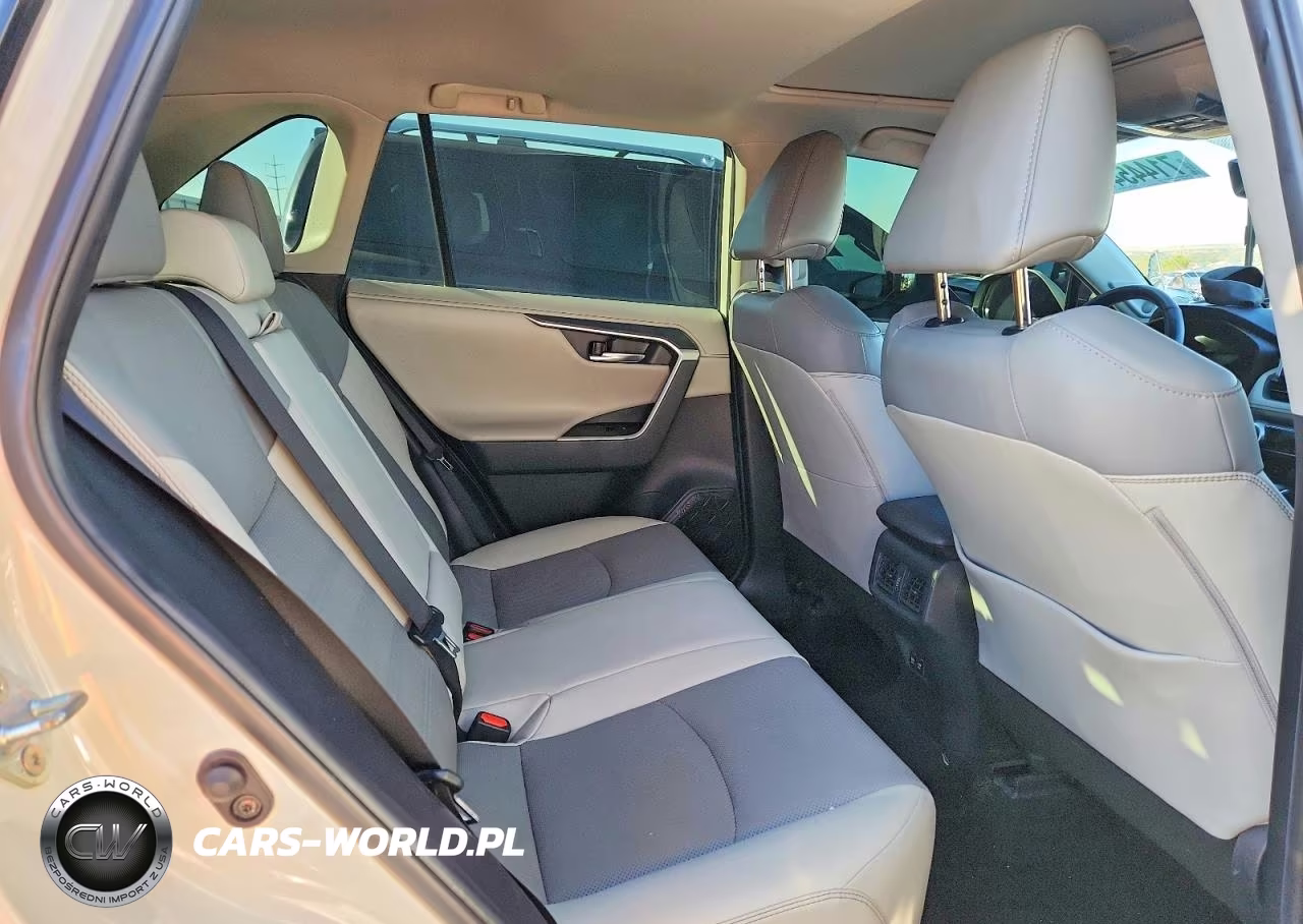 2019 Toyota Rav4 Limited VIN:2T3Y1RFV3KC027393 - 10