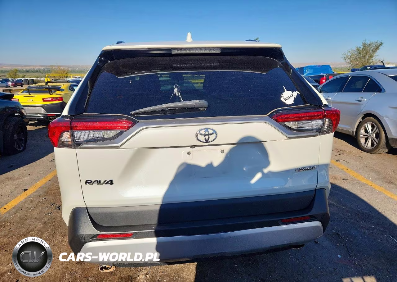 2019 Toyota Rav4 Limited VIN:2T3Y1RFV3KC027393 - 6