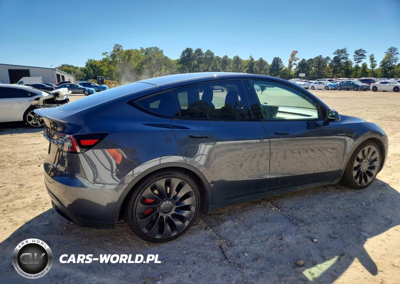 2022 Tesla Model Y VIN:7SAYGDEF5NF505465 - 3