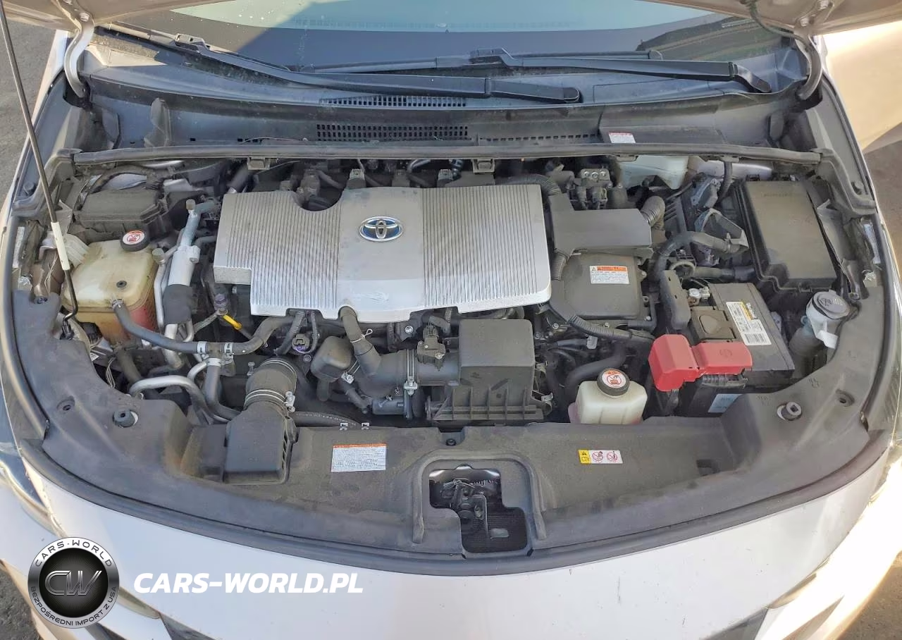 2019 TOYOTA PRIUS PRIME  VIN:JTDKARFP6K3111393 - 11