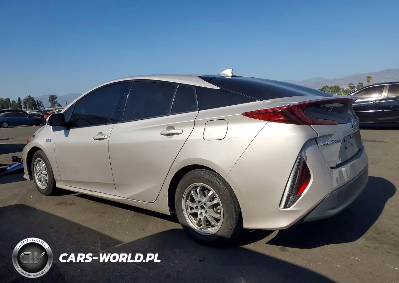 2019 TOYOTA PRIUS PRIME  VIN:JTDKARFP6K3111393 - 2