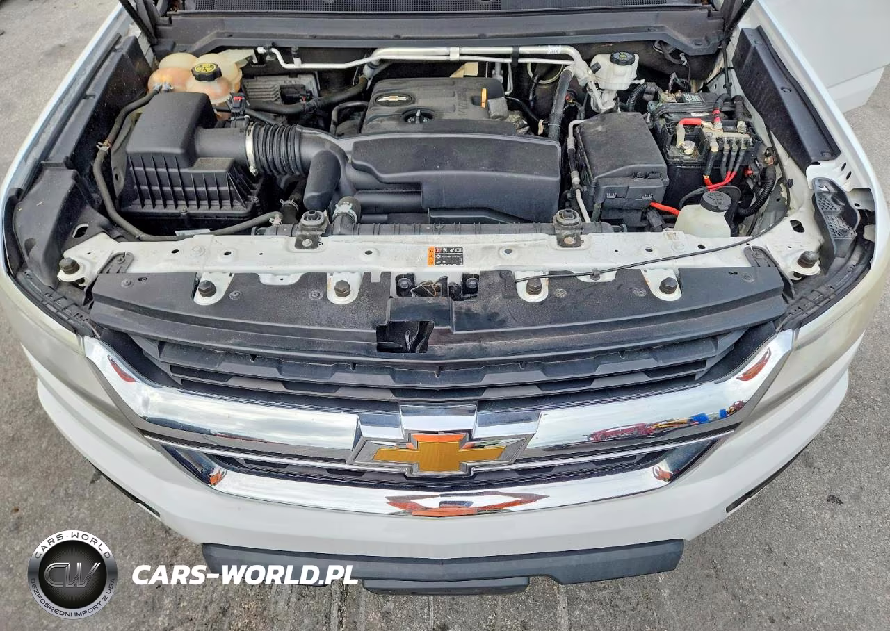 2019 Chevrolet Colorado VIN:1GCHSBEAXK1150334 - 11