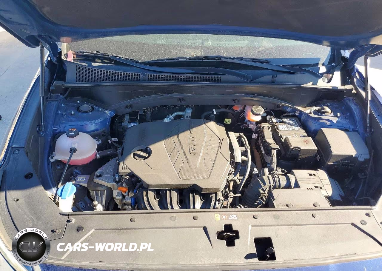 2022 Hyundai Santa Fe Sel VIN:5NMS2DAJ3NH438519 - 12