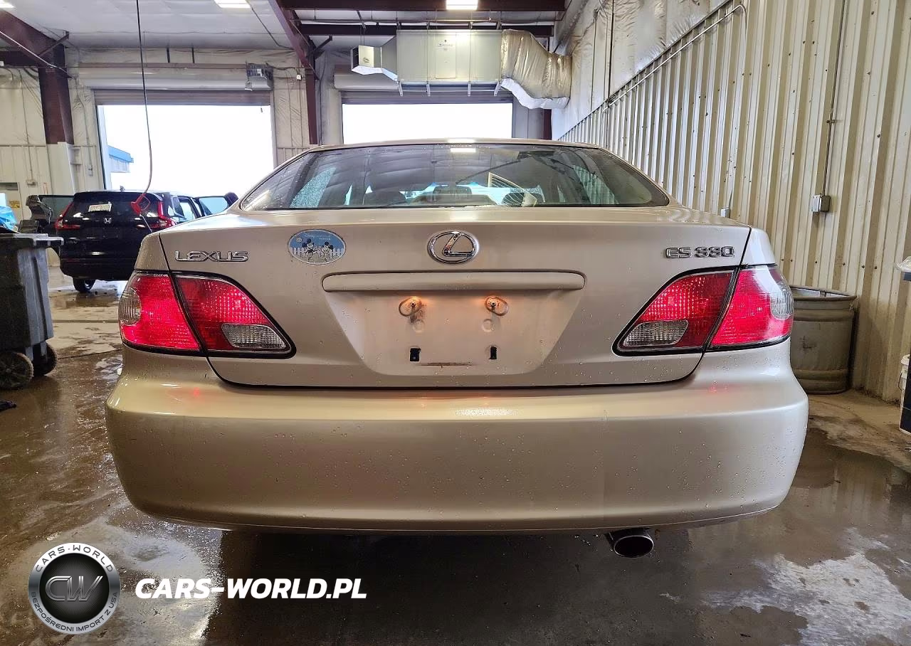 2004 Lexus Es 330 VIN:JTHBA30G245030287 - 6