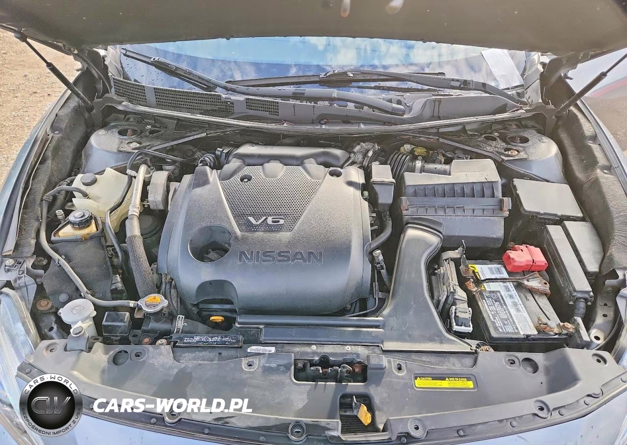 2016 Nissan Maxima VIN:1N4AA6AP0GC414684 - 11