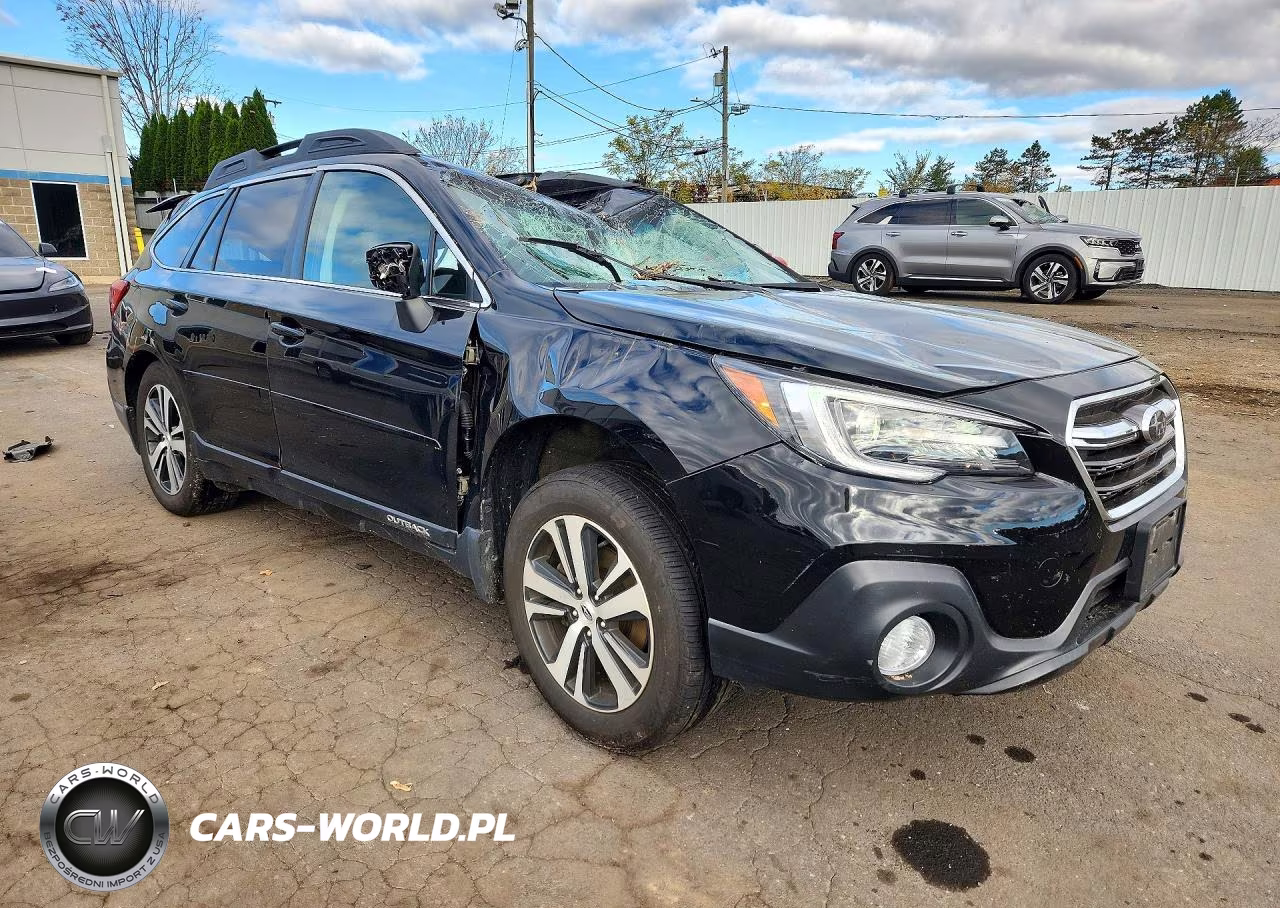 2019 Subaru Outback 2.5I Limited VIN:4S4BSANC3K3292686 - 4