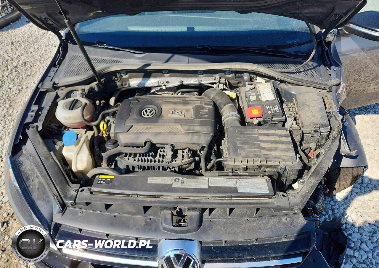 2016 Volkswagen Golf R VIN:WVWLF7AUXGW191343 - 11