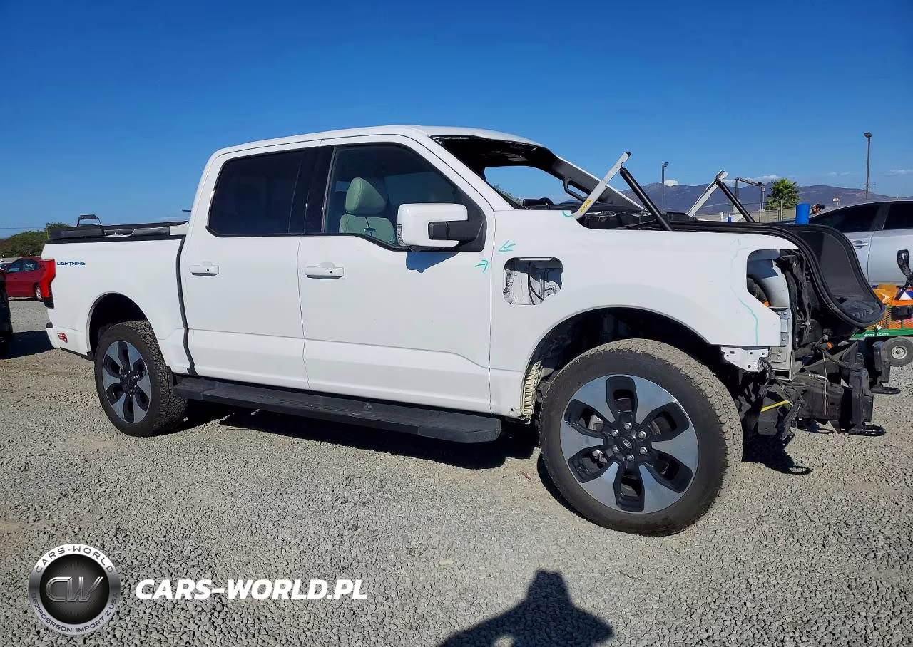2023 Ford F150 Lightning Pro VIN:1FT6W1EV1PWG25629 - 4