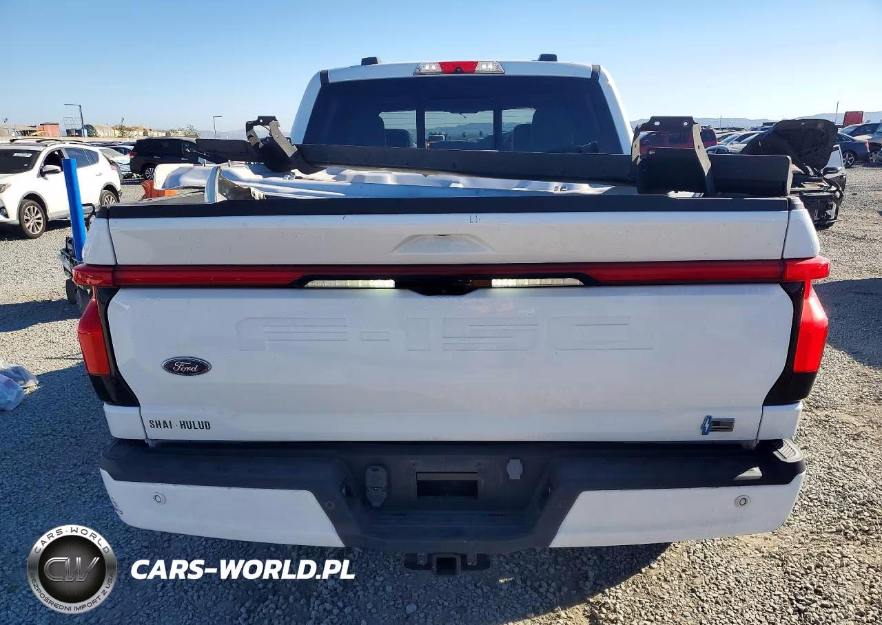 2023 Ford F150 Lightning Pro VIN:1FT6W1EV1PWG25629 - 6