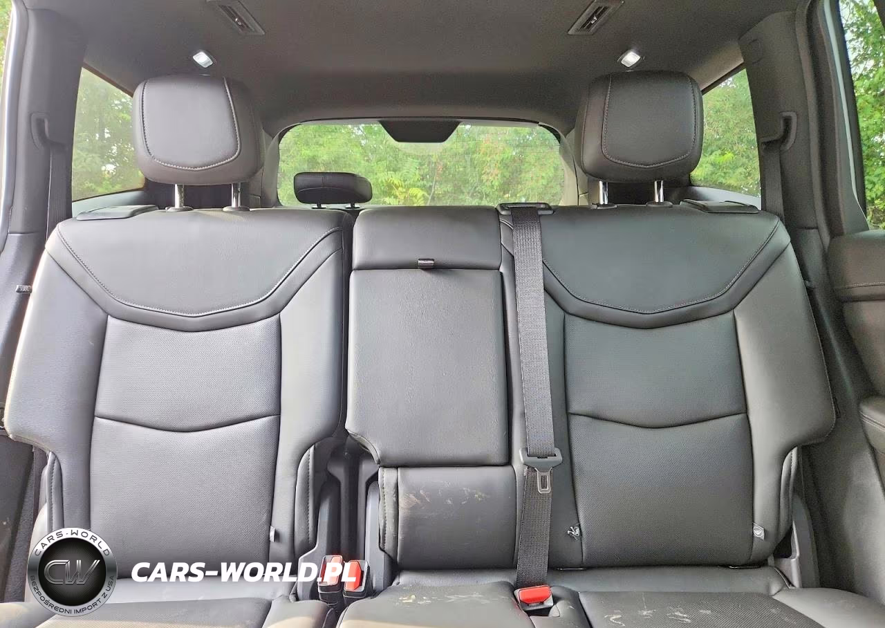 2023 Cadillac Xt6 Premium Luxury VIN:1GYKPDRS9PZ158904 - 10