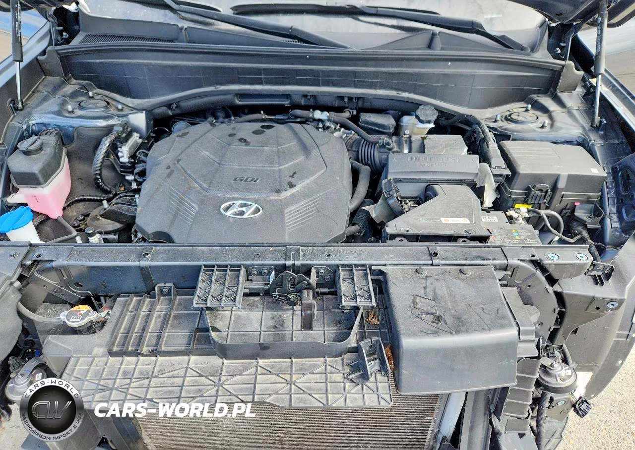2024 Hyundai Palisade Calligraphy VIN:KM8R74GE5RU776783 - 12