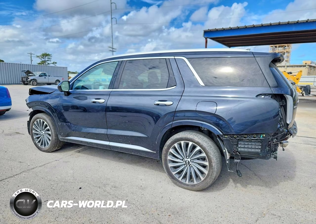 2024 Hyundai Palisade Calligraphy VIN:KM8R74GE5RU776783 - 2