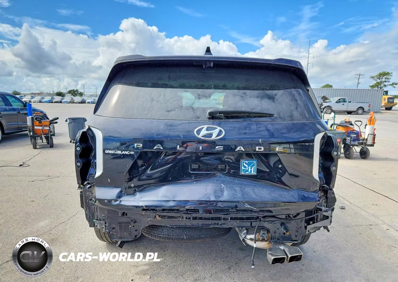 2024 Hyundai Palisade Calligraphy VIN:KM8R74GE5RU776783 - 6