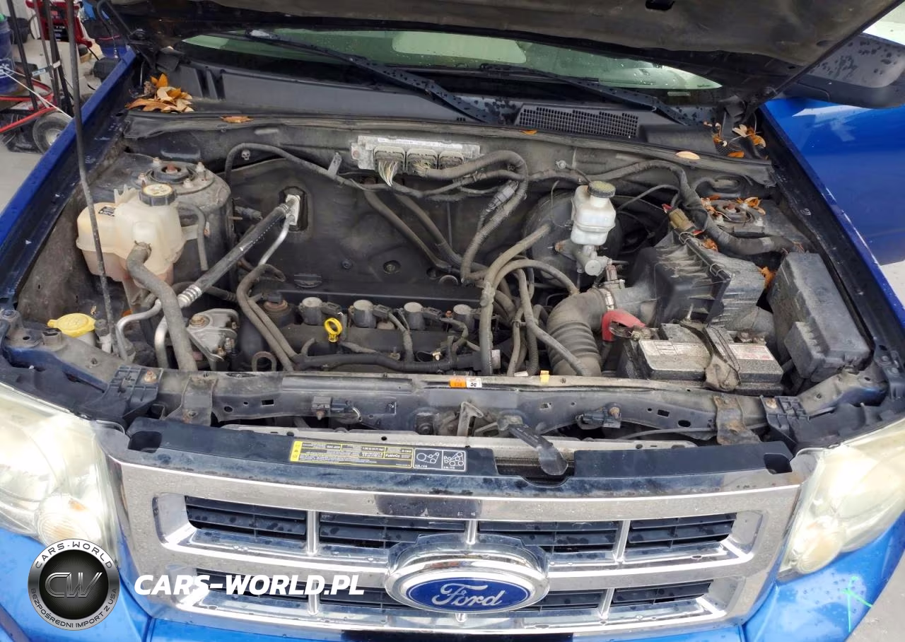 2012 Ford Escape Xlt VIN:1FMCU0D74CKB57513 - 12