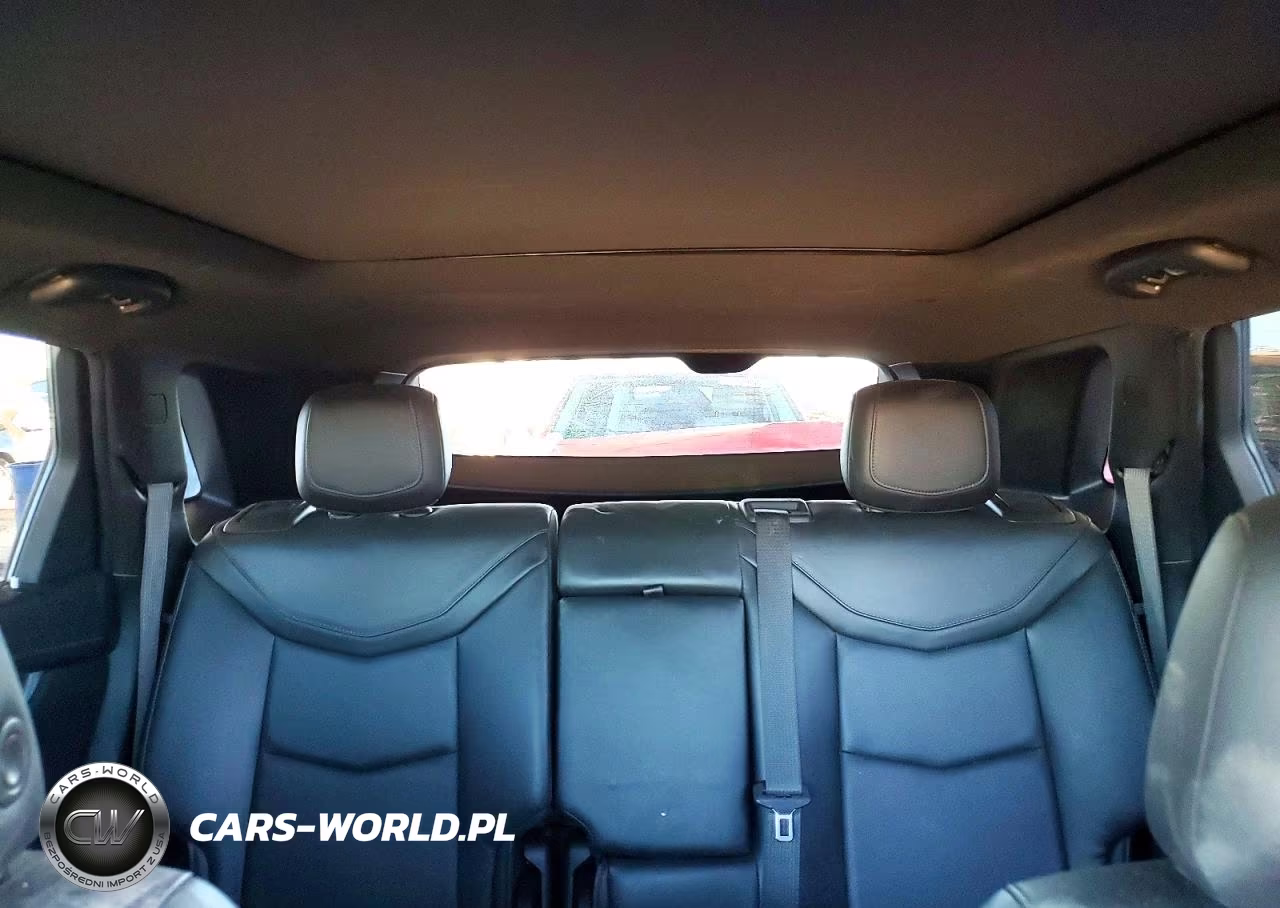 2020 Cadillac Xt5 Premium Luxury VIN:1GYKNCRSXLZ124786 - 10