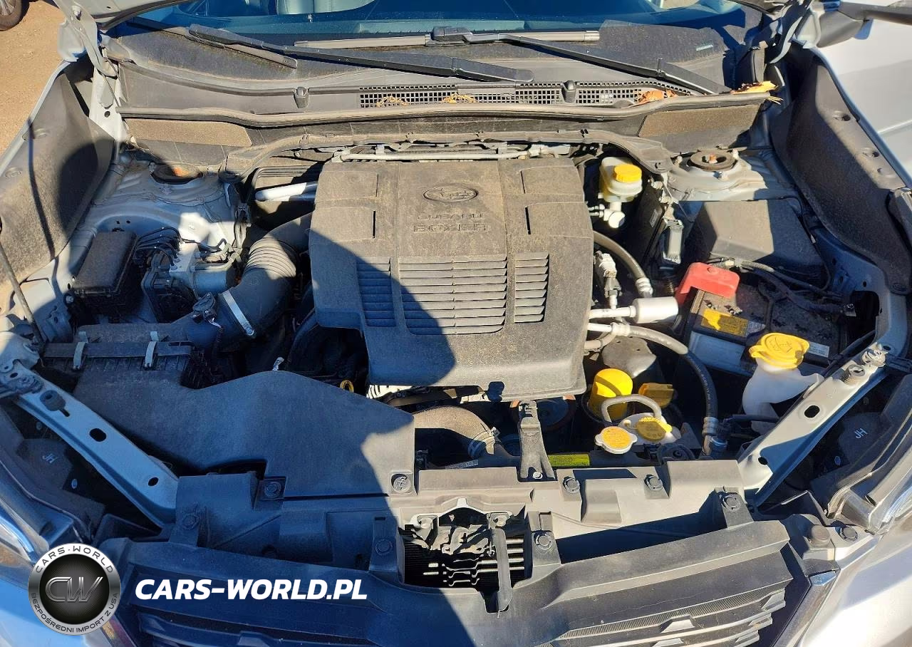 2019 Subaru Forester Limited VIN:JF2SKASC4KH454015 - 12