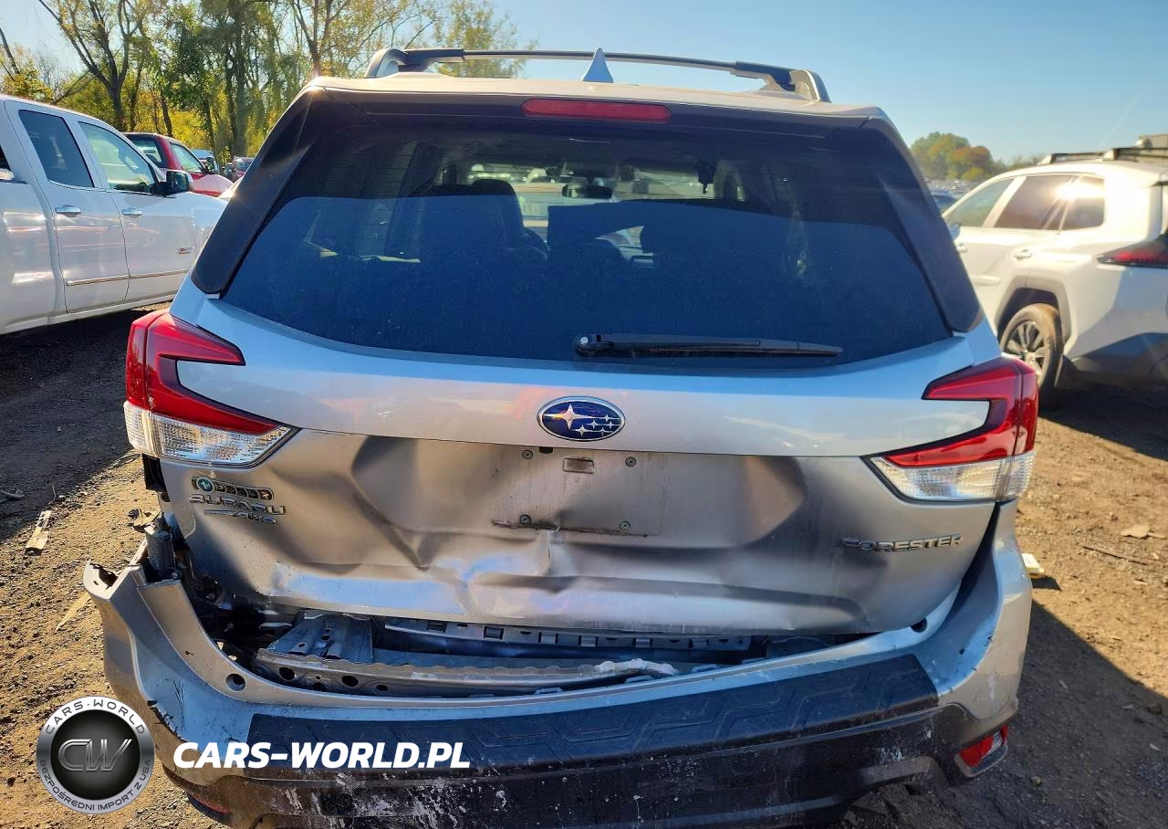 2019 Subaru Forester Limited VIN:JF2SKASC4KH454015 - 6