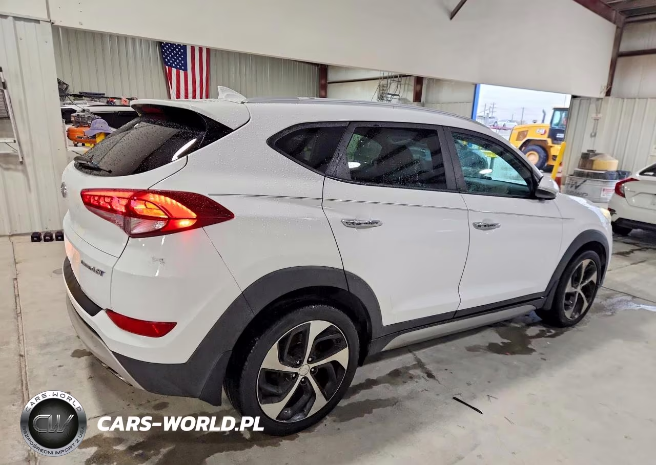 2017 Hyundai Tucson Limited VIN:KM8J33A2XHU333030 - 3