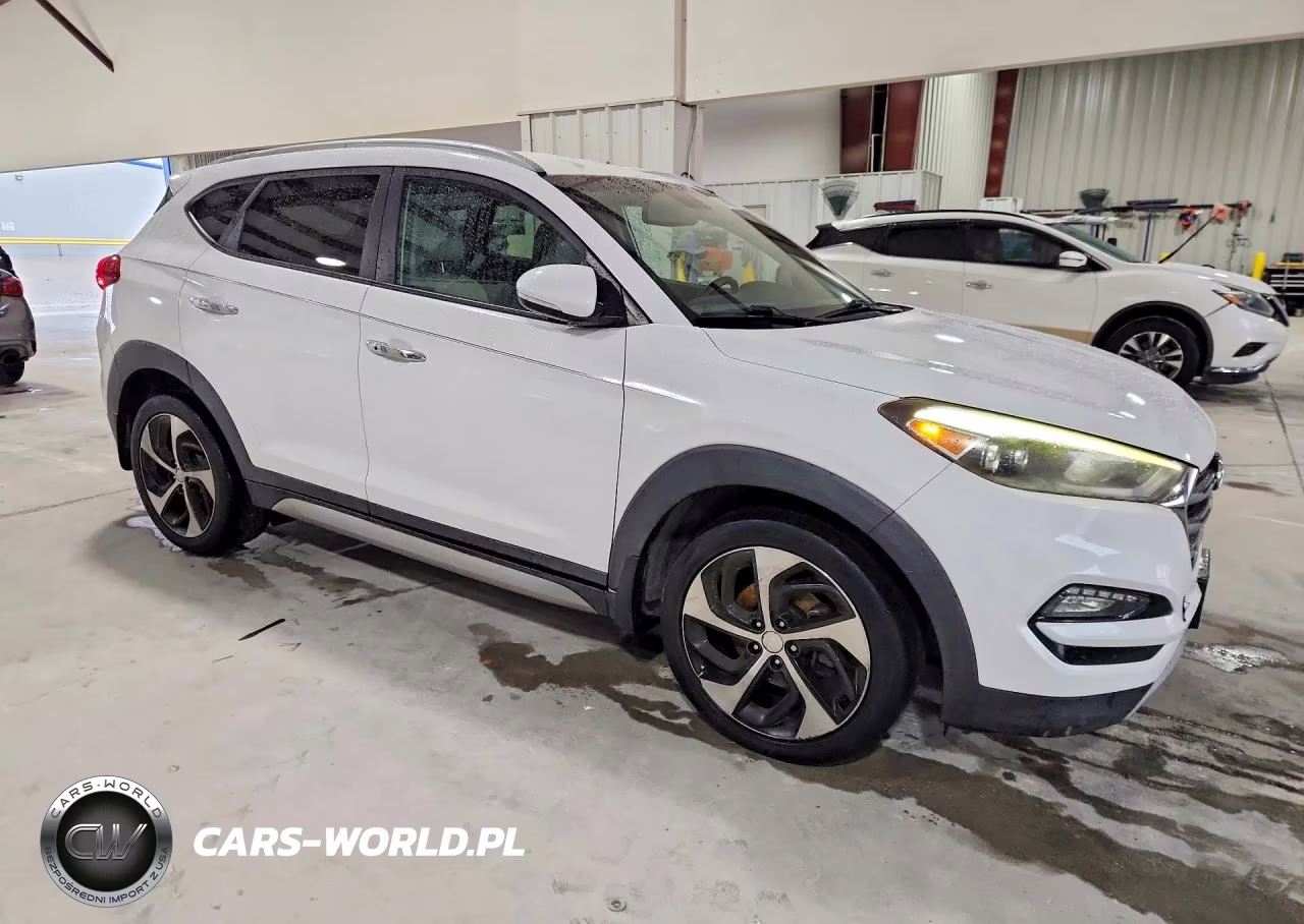 2017 Hyundai Tucson Limited VIN:KM8J33A2XHU333030 - 4