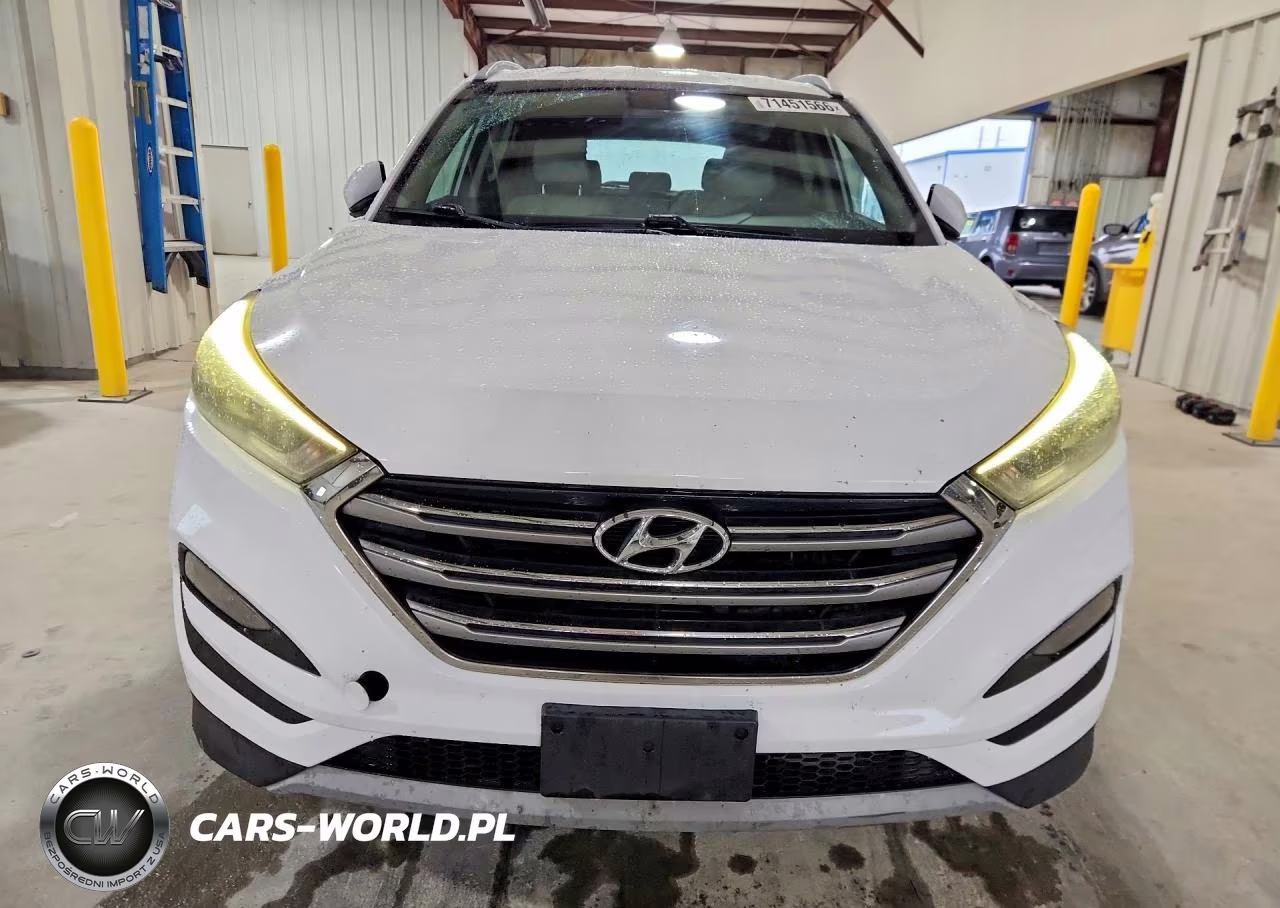2017 Hyundai Tucson Limited VIN:KM8J33A2XHU333030 - 5