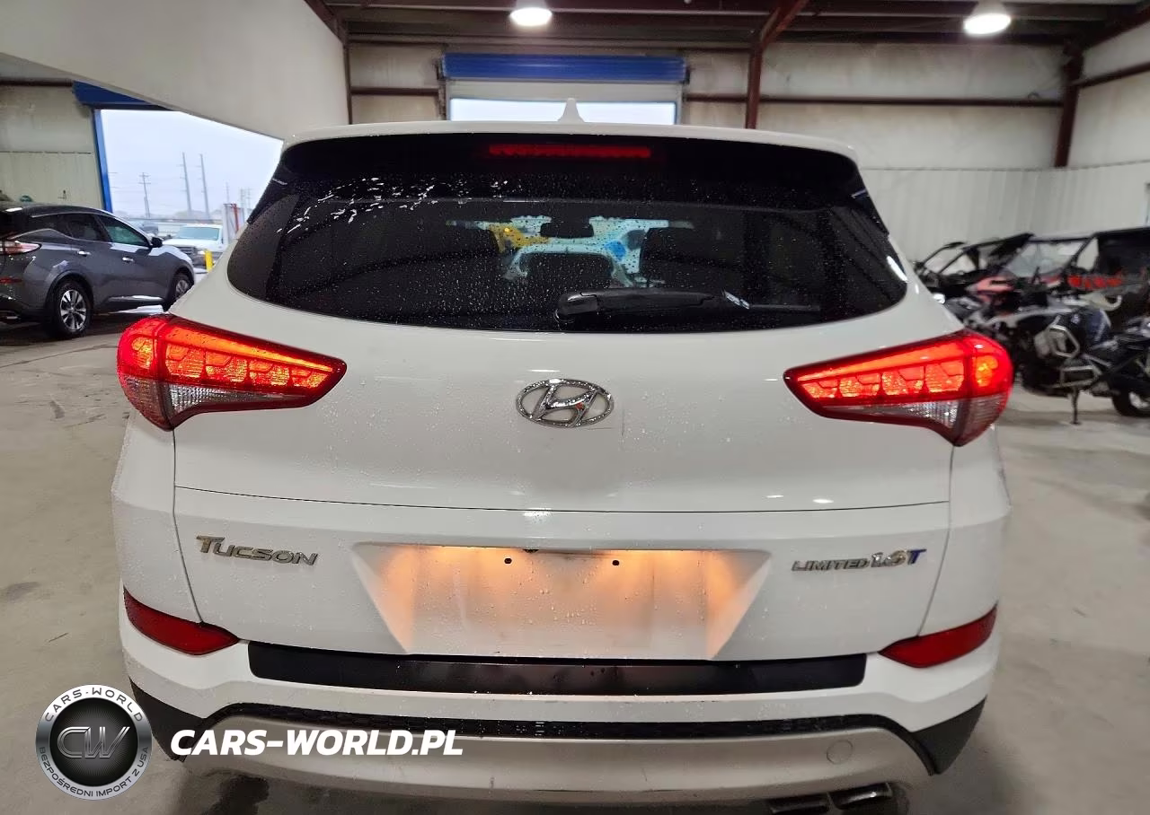 2017 Hyundai Tucson Limited VIN:KM8J33A2XHU333030 - 6