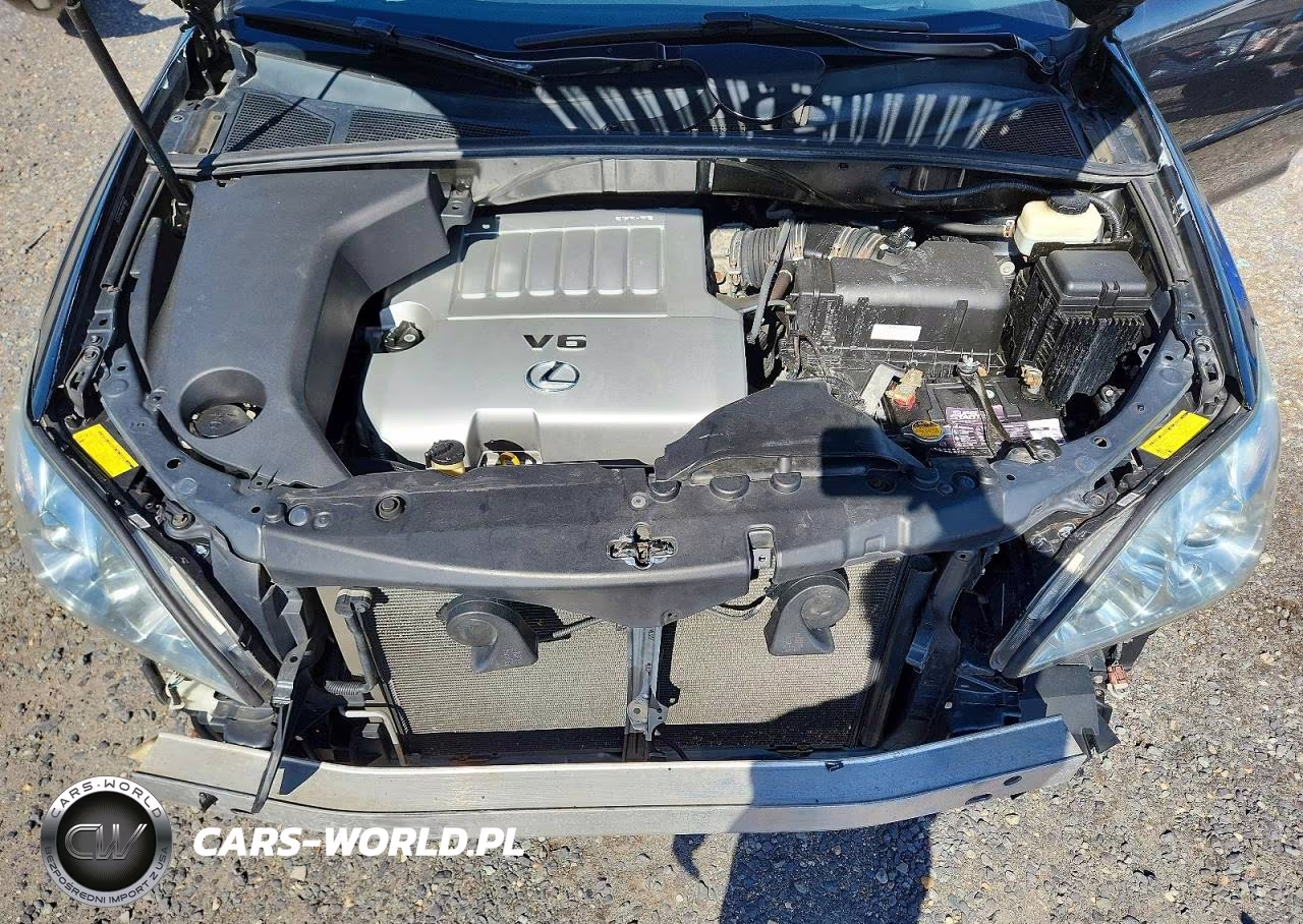 2009 Lexus Rx 350 VIN:2T2HK31U09C131640 - 12