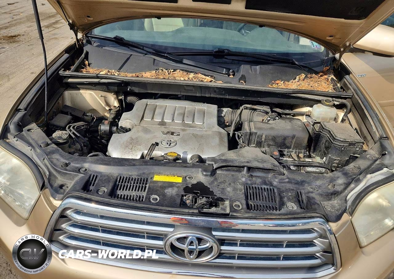2008 Toyota Highlander Limited VIN:JTEES42A082097841 - 12