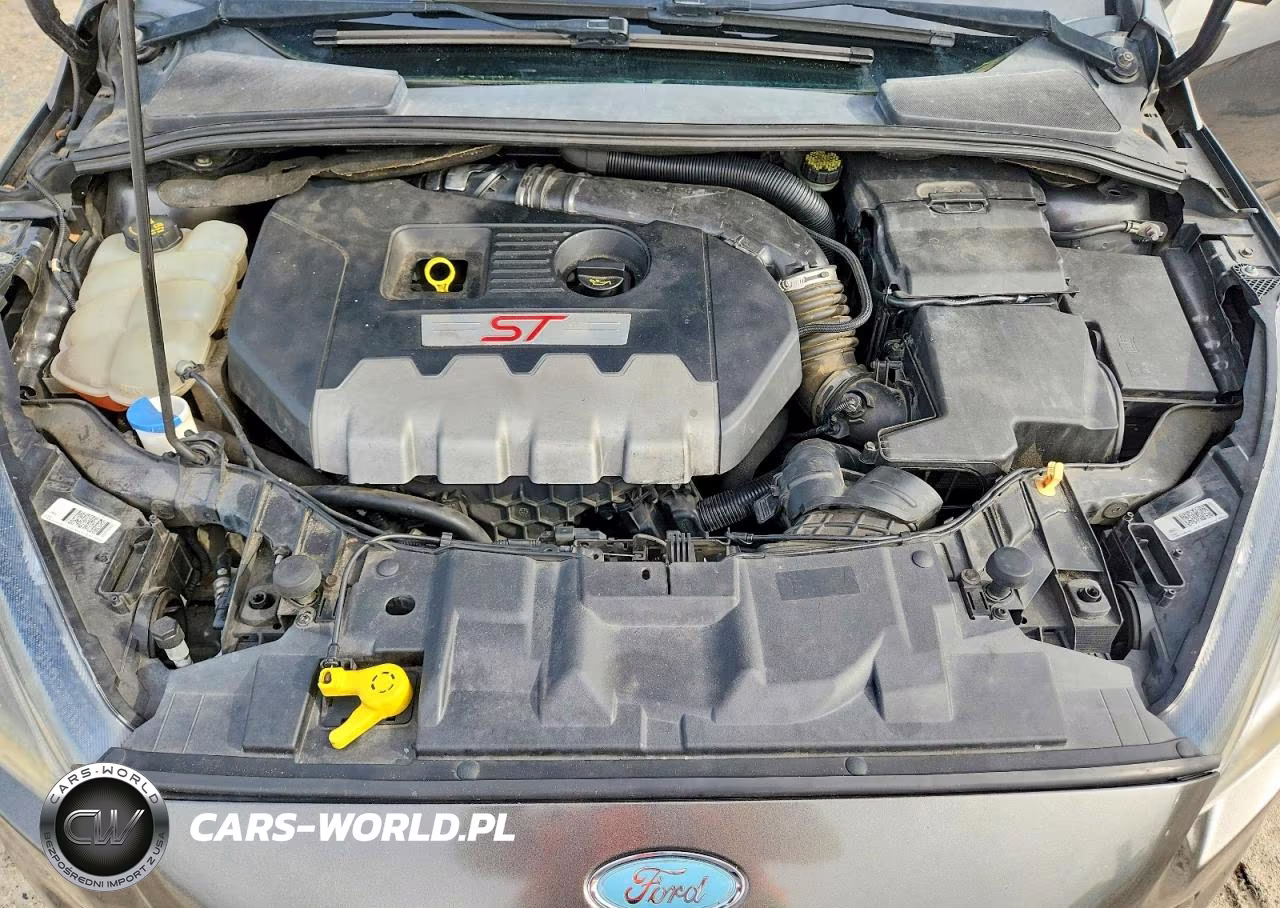 2015 Ford Focus St VIN:1FADP3L90FL247203 - 11