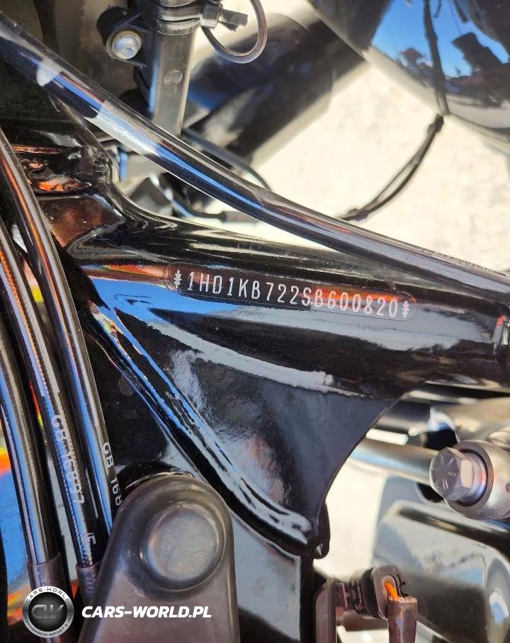 2025 Harley-Davidson Flhx VIN:1HD1KB722SB600820 - 9