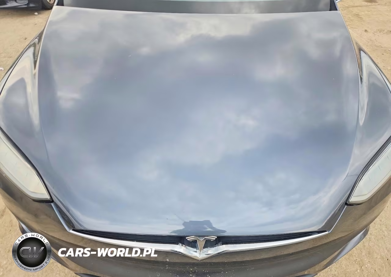2018 Tesla Model X VIN:5YJXCBE29JF101634 - 12