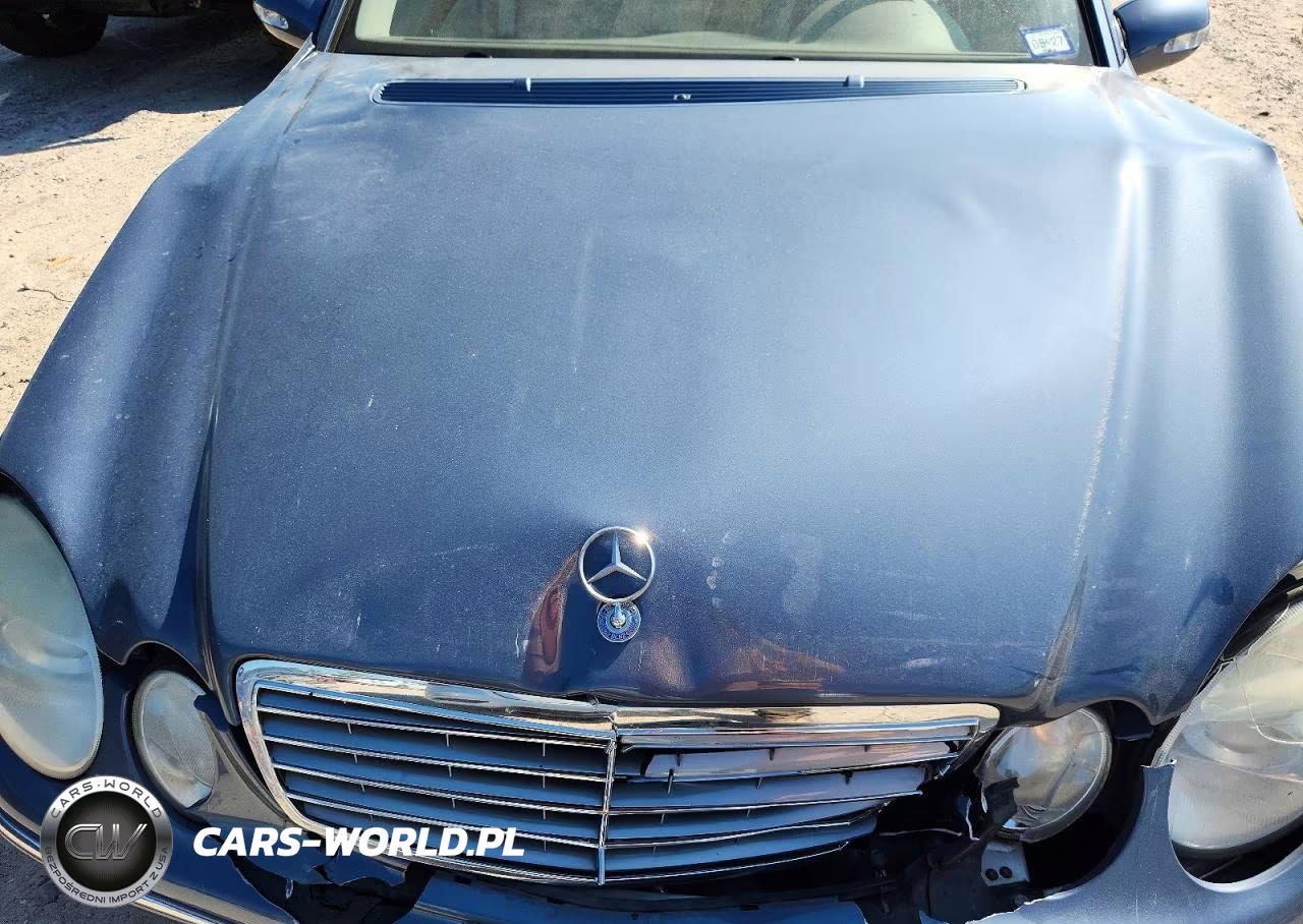 2006 Mercedes-Benz E 320 Cdi VIN:WDBUF26J16A977497 - 11