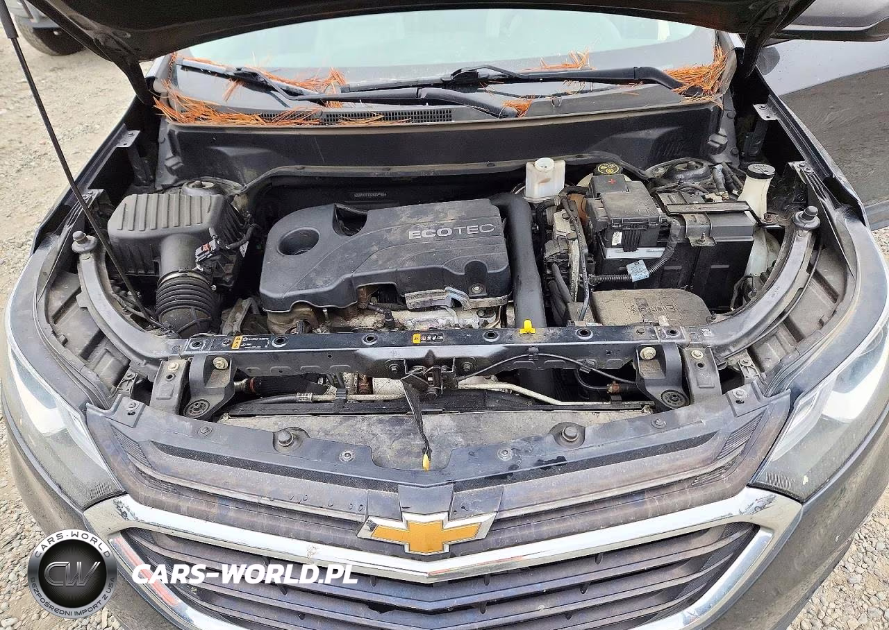 2018 Chevrolet Equinox Ls VIN:2GNAXREV3J6239986 - 12