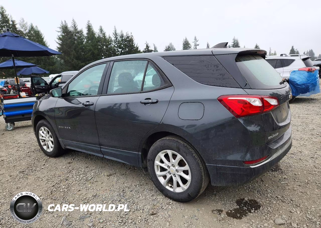 2018 Chevrolet Equinox Ls VIN:2GNAXREV3J6239986 - 2