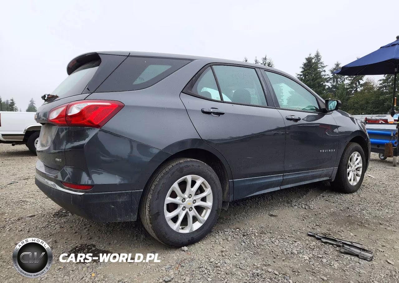 2018 Chevrolet Equinox Ls VIN:2GNAXREV3J6239986 - 3