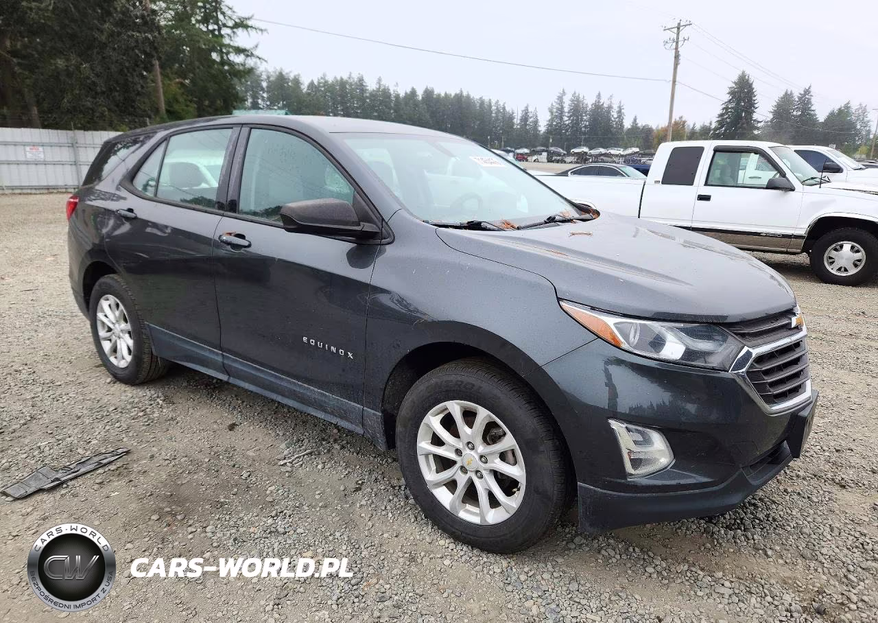 2018 Chevrolet Equinox Ls VIN:2GNAXREV3J6239986 - 4