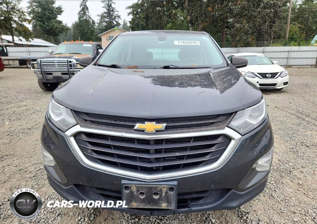 2018 Chevrolet Equinox Ls VIN:2GNAXREV3J6239986 - 5