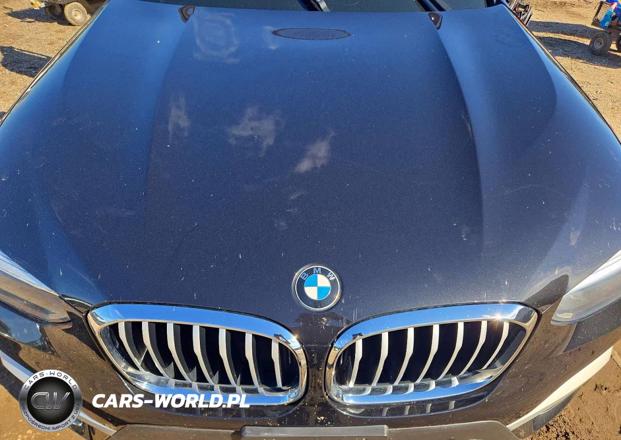 2019 BMW X3 Sdrive30I VIN:5UXTR7C52KLF32663 - 11