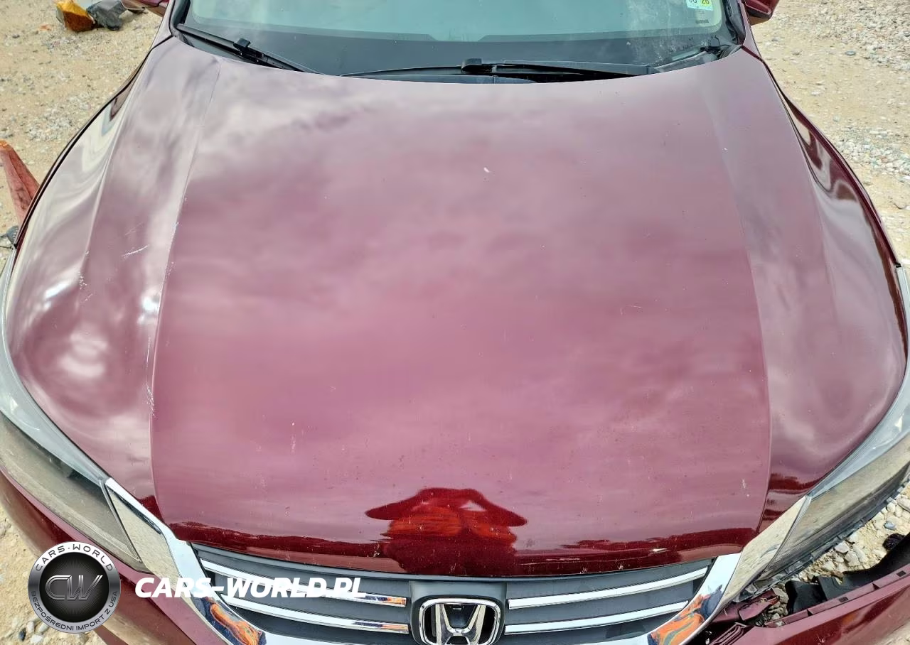 2013 Honda Accord Exl VIN:1HGCR2F80DA249119 - 11