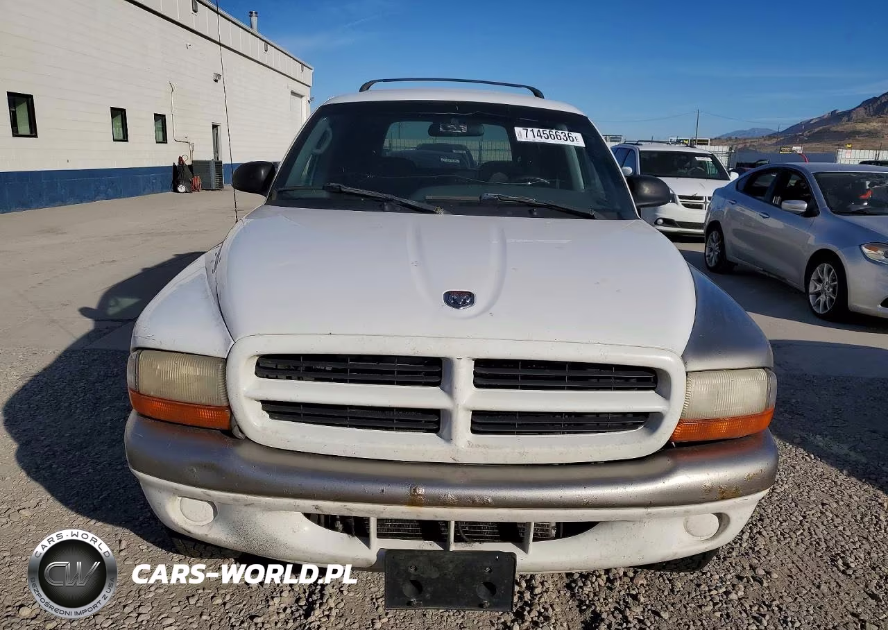 1999 Dodge Durango VIN:1B4HS28Y7XF610890 - 5