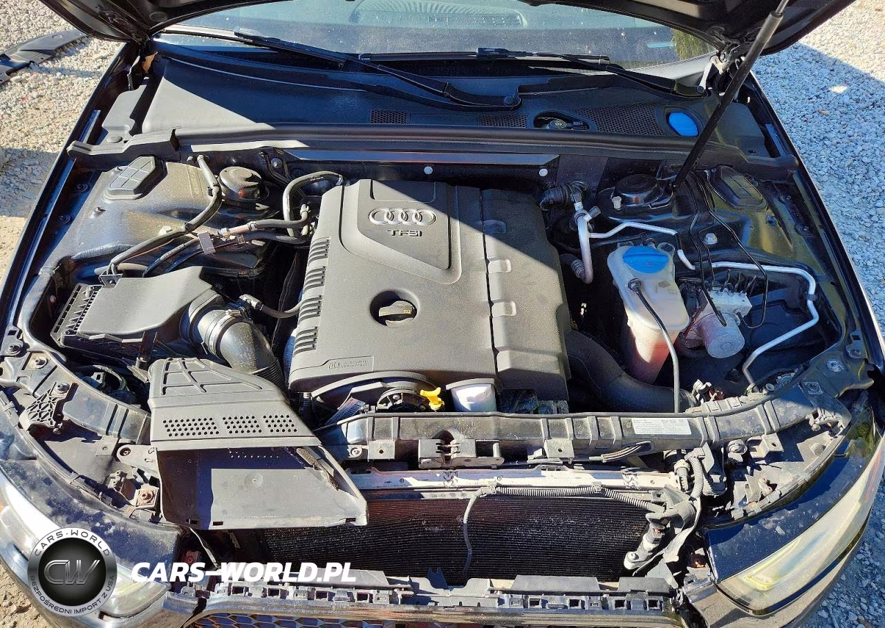 2014 Audi A4 Premium Plus VIN:WAUFFAFL5EN031932 - 11