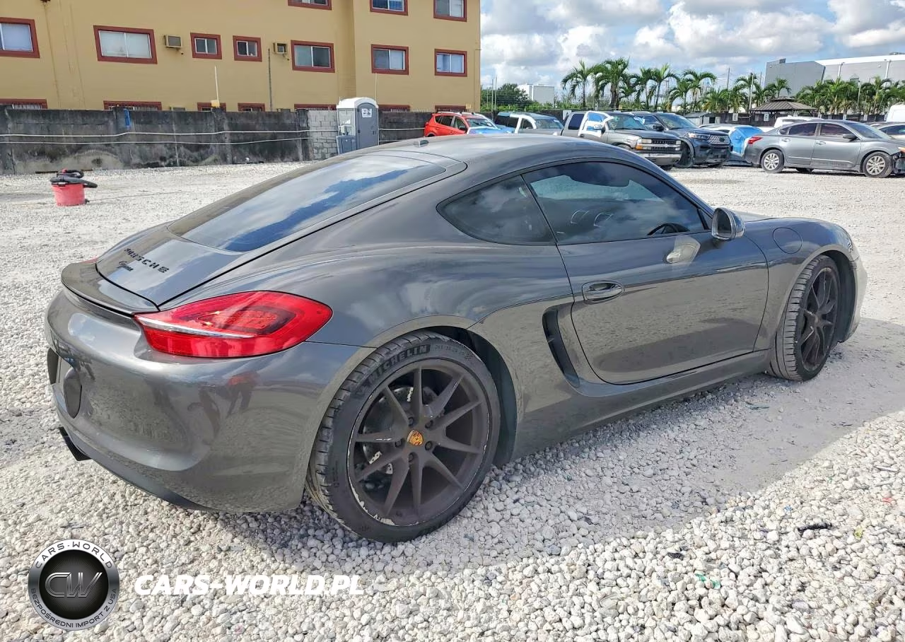 2014 Porsche Cayman VIN:WP0AA2A81EK171613 - 3
