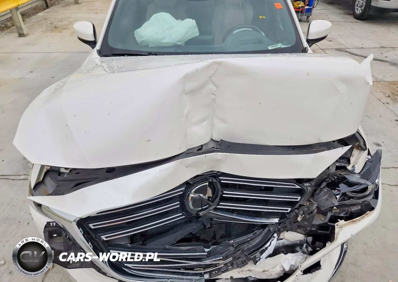 2019 Mazda Cx-9 Grand Touring VIN:JM3TCBDY7K0330499 - 12