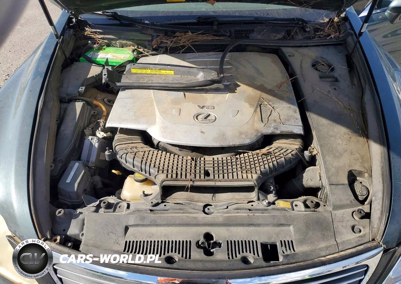 2009 Lexus Ls 460 VIN:JTHBL46F095088985 - 11