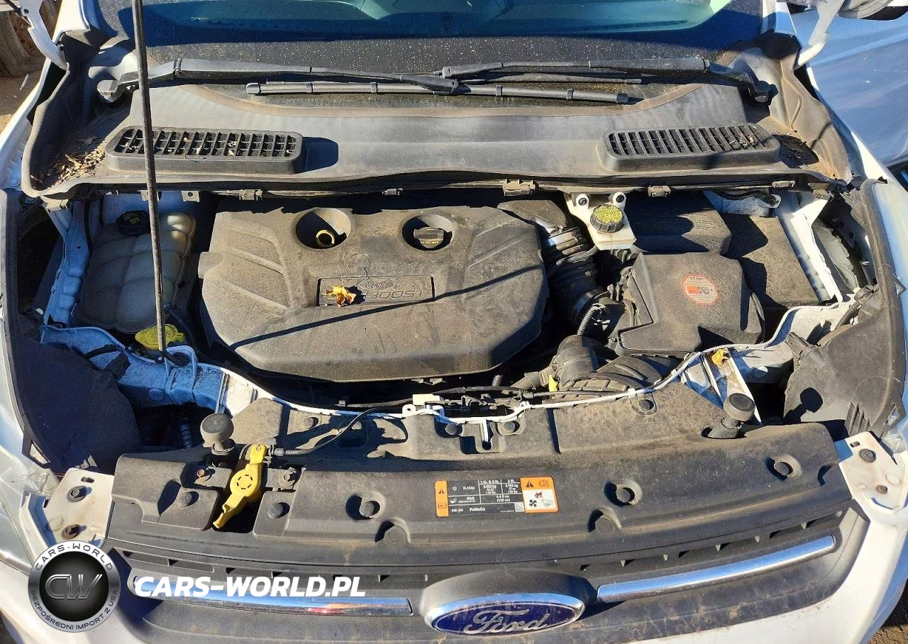 2015 Ford Escape Se VIN:1FMCU9G92FUB54622 - 11